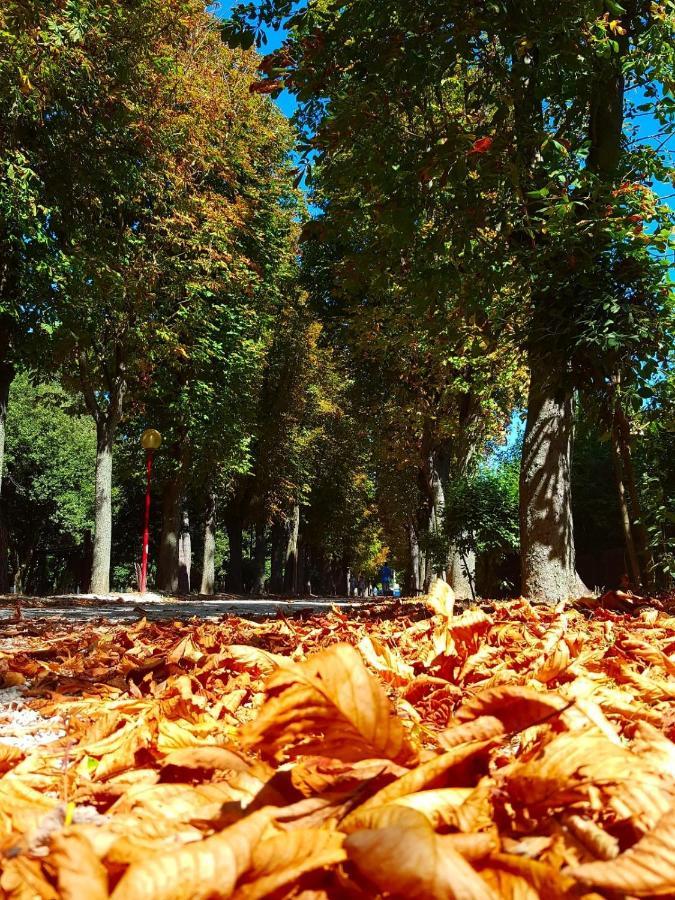 Il Gabbiano Giallo Fano Exteriör bild